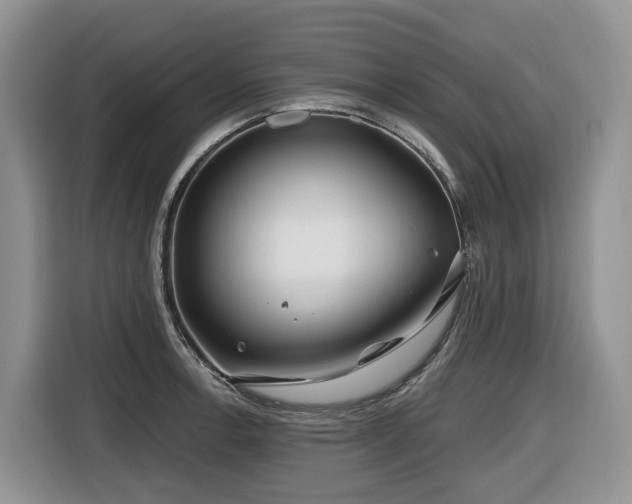 X0000116671138200912141335