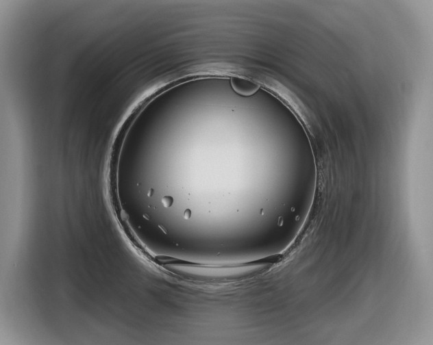 X0000116671139200912141335