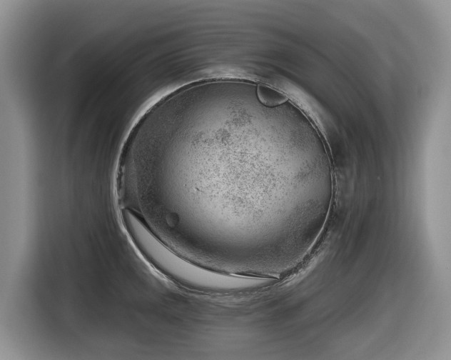 X0000116671141200912141335