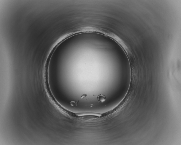 X0000116671142200912141335