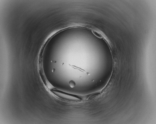 X0000116671143200912141335