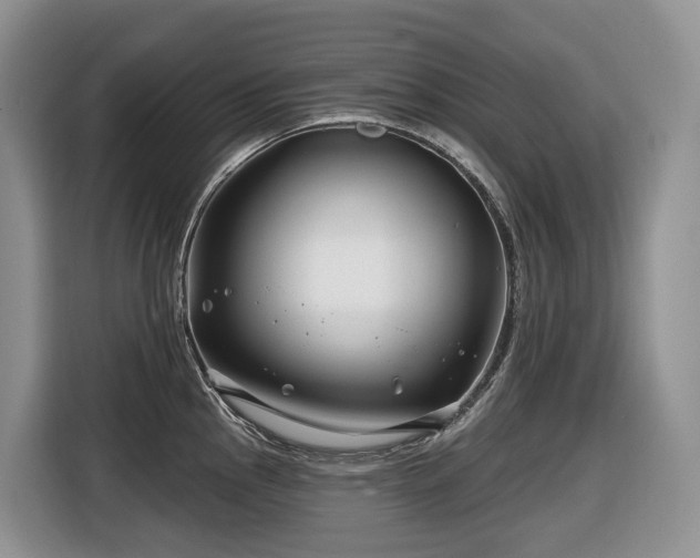 X0000116671145200912141335