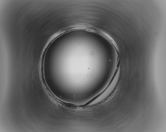 X0000116671146200912141335