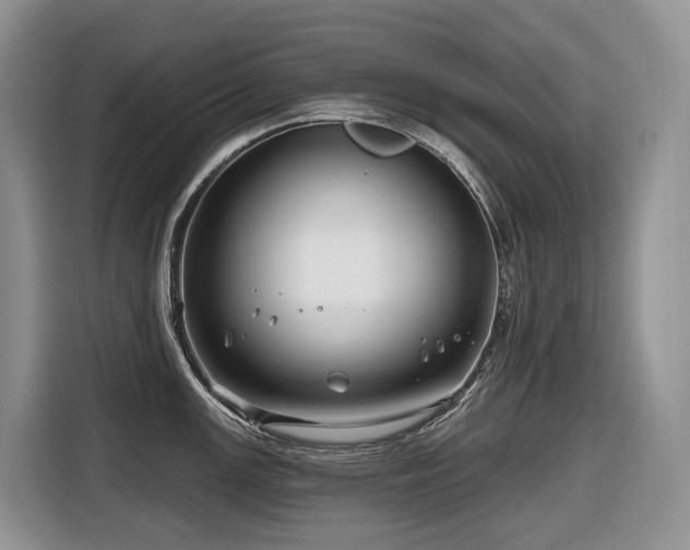 X0000116671147200912141335