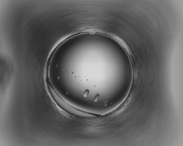 X0000116671149200912141335