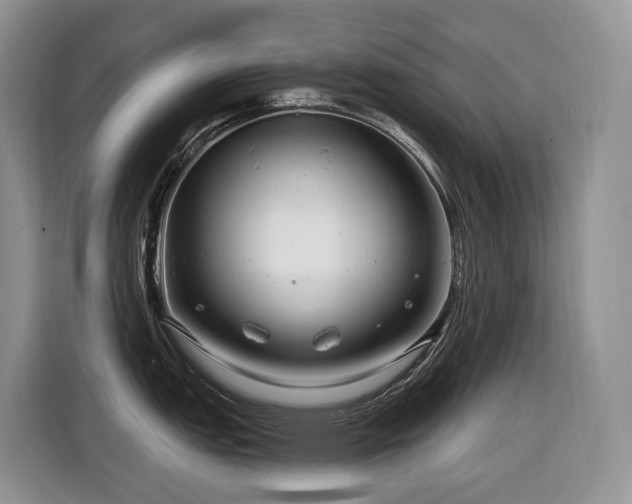 X0000116671151200912141335