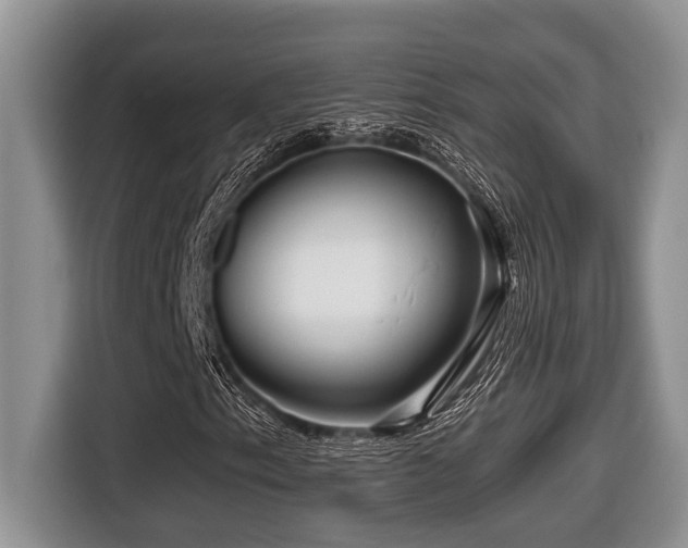 X0000116671153200912141335