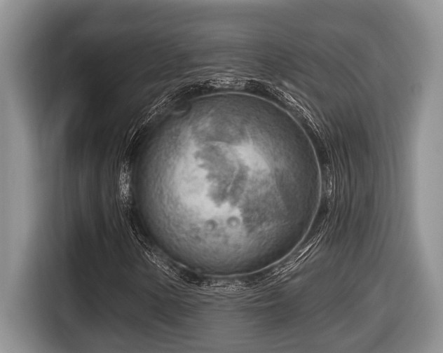 X0000116671154200912141335