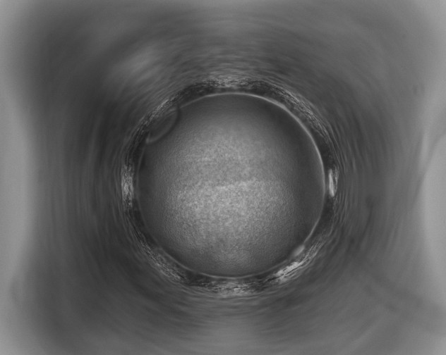 X0000116671155200912141335