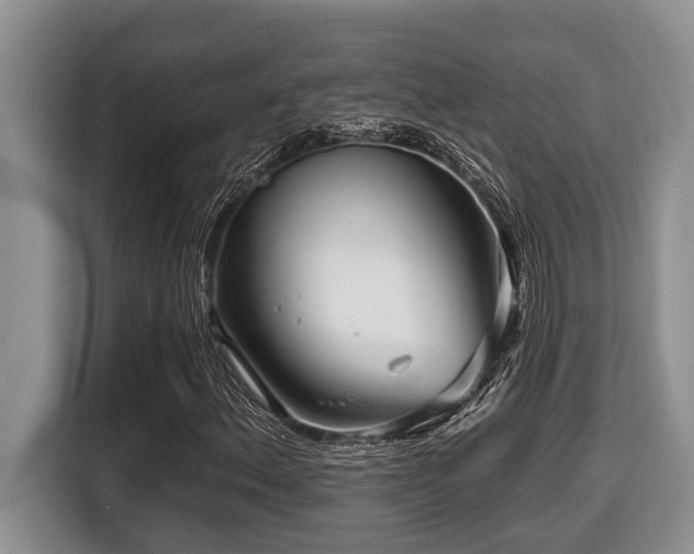 X0000116671156200912141335