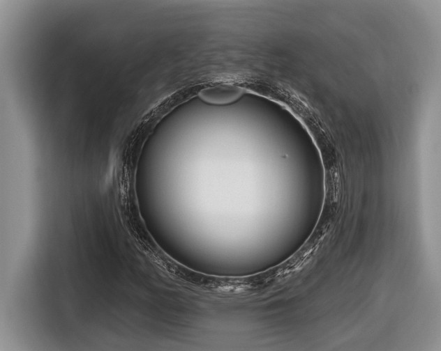 X0000116671158200912141335