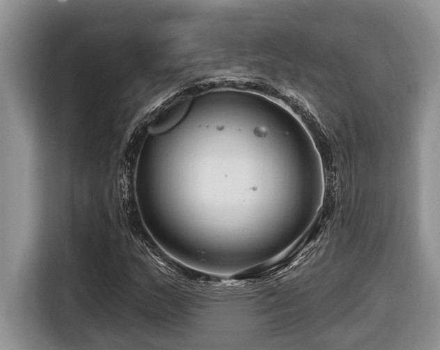 X0000116671159200912141335