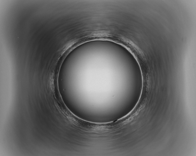 X0000116671162200912141335