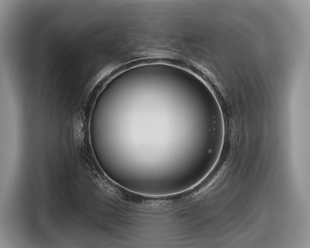 X0000116671163200912141335