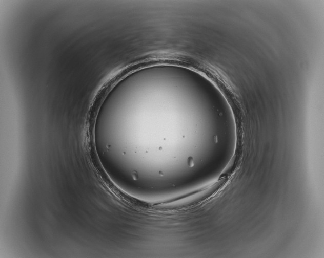 X0000116671164200912141335