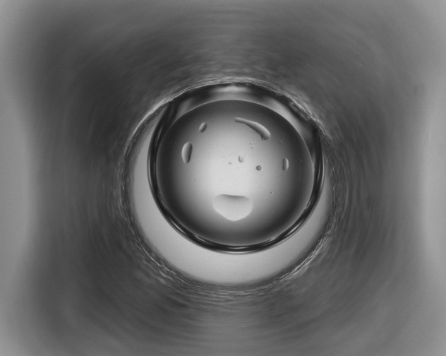 X0000116671165200912141335