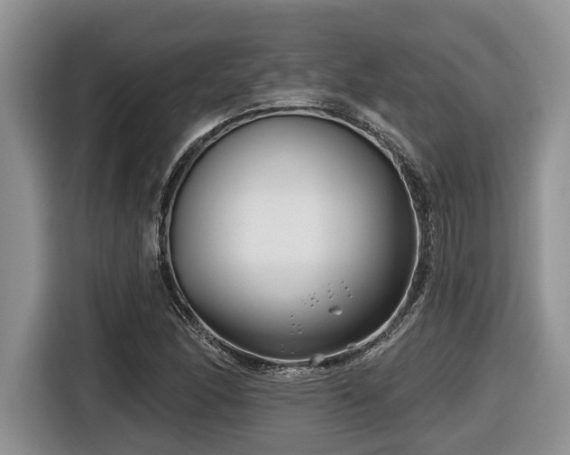 X0000116671166200912141335