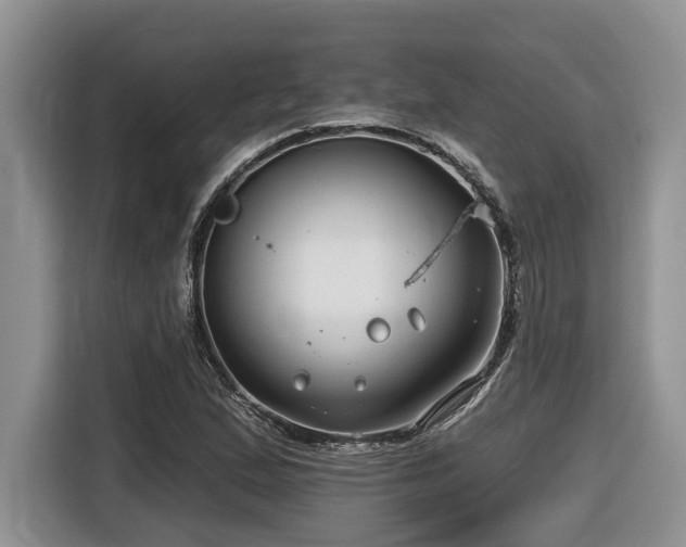 X0000116671167200912141335