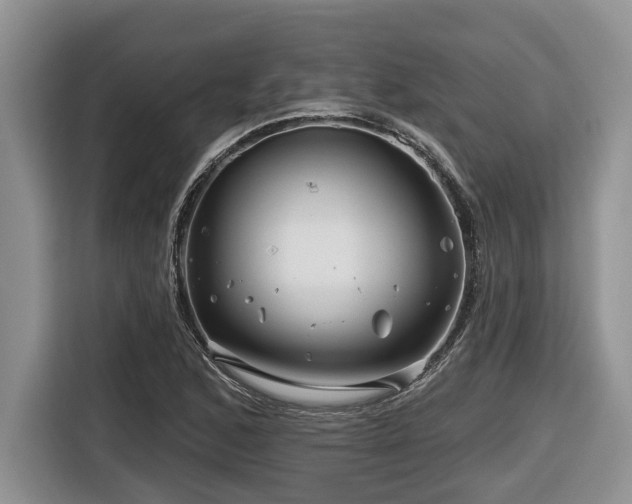 X0000116671168200912141335