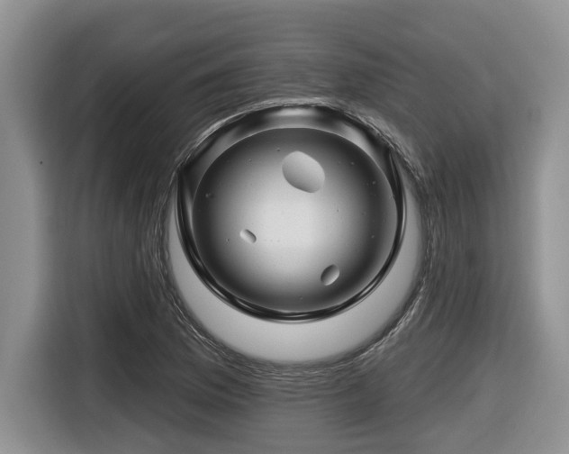 X0000116671169200912141334