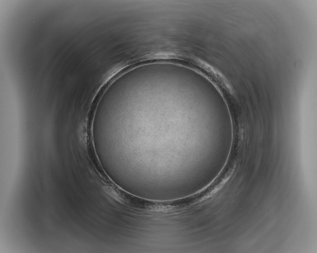 X0000116671170200912141334