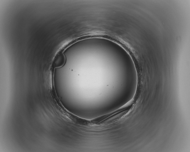 X0000116671171200912141334