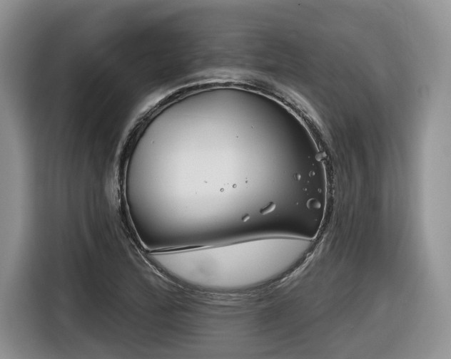 X0000116671172200912141334