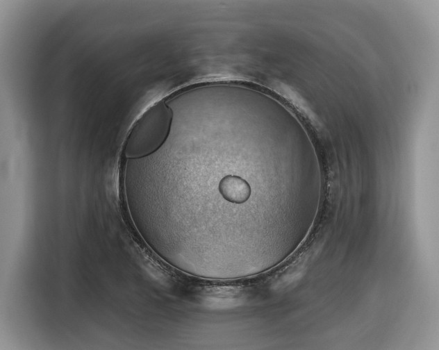 X0000116671173200912141334