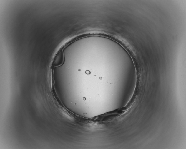 X0000116671175200912141334