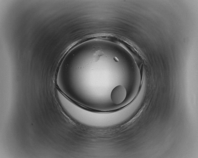 X0000116671177200912141334