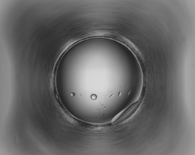 X0000116671178200912141334