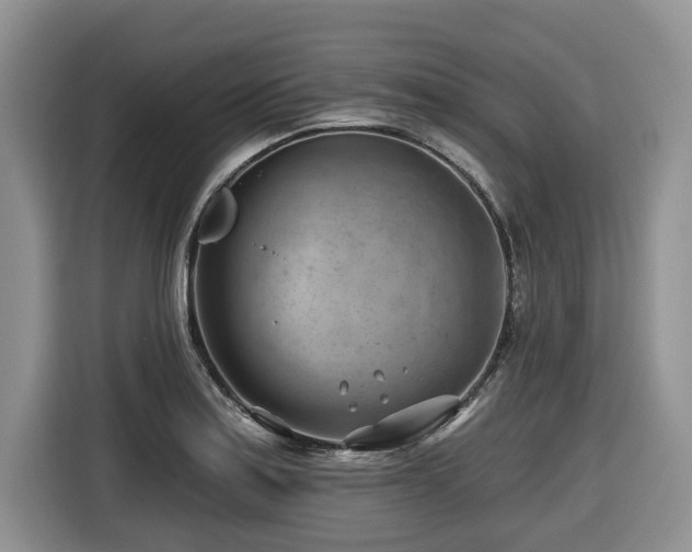 X0000116671179200912141334