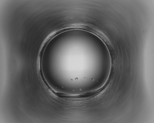 X0000116671180200912141334