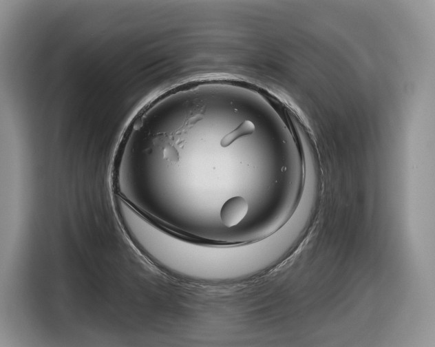 X0000116671181200912141334