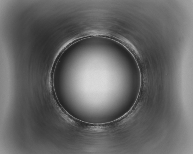 X0000116671182200912141334