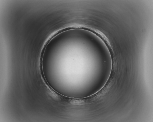 X0000116671183200912141334