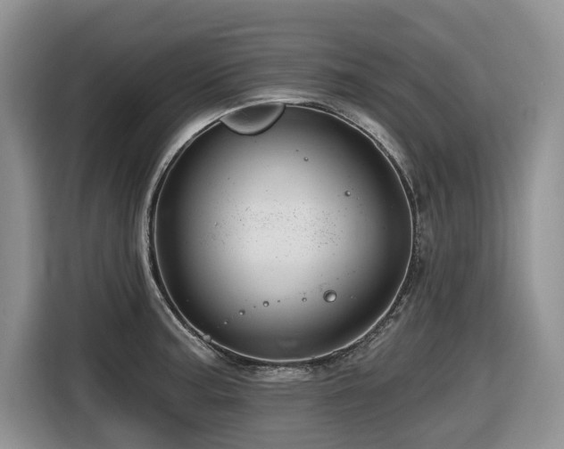 X0000116671187200912141334