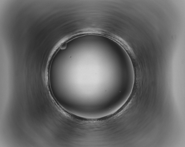 X0000116671188200912141334