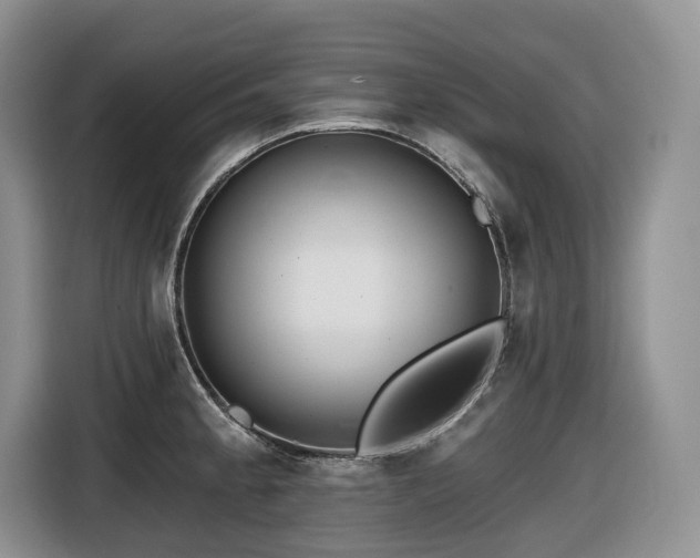 X0000116671189200912141334