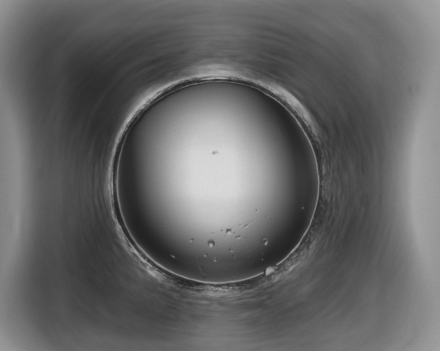 X0000116671191200912141334