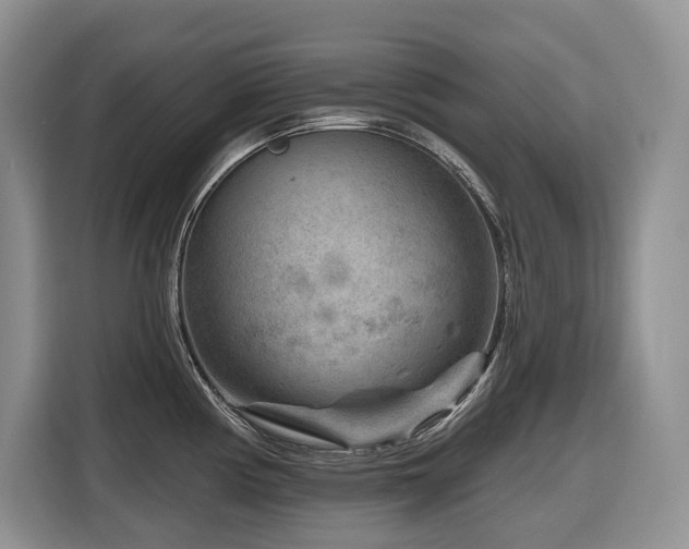 X0000116671194200912141334