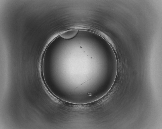 X0000116671195200912141334