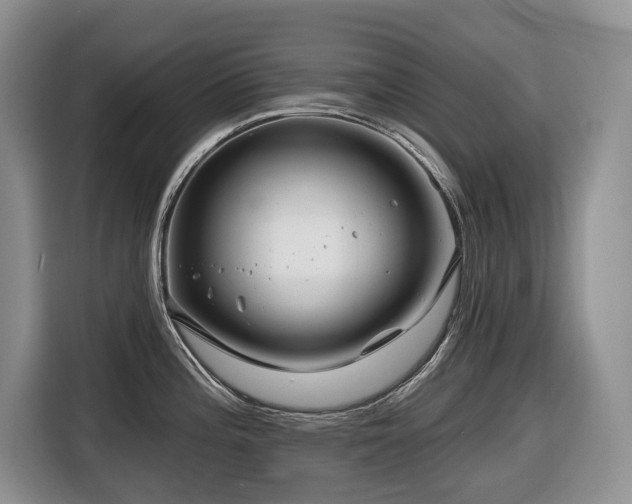 X0000116671196200912141334