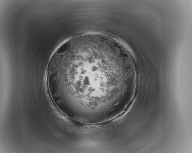 X0000116671198200912141334