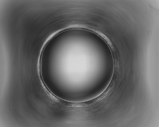 X0000116671199200912141334