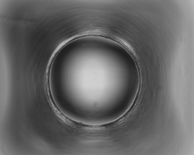 X0000116671200200912141334