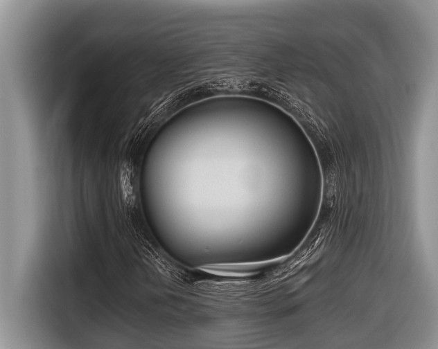 X0000116671202200912141333