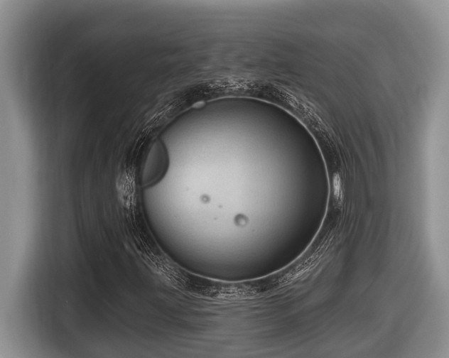 X0000116671203200912141333