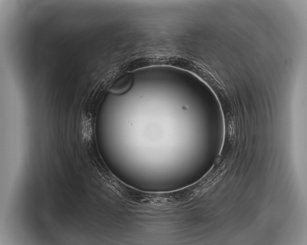 X0000116671204200912141334