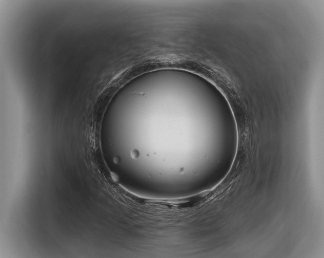 X0000116671205200912141334